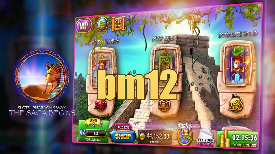 bm12 Baixar